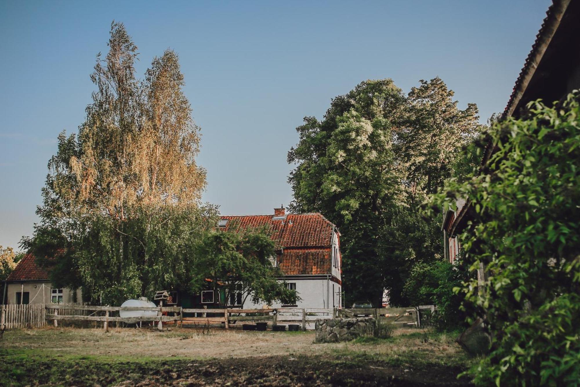 Dom Na Mazurach Pilec Bed and Breakfast Εξωτερικό φωτογραφία