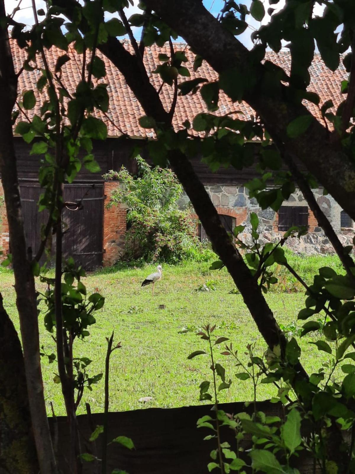 Dom Na Mazurach Pilec Bed and Breakfast Εξωτερικό φωτογραφία